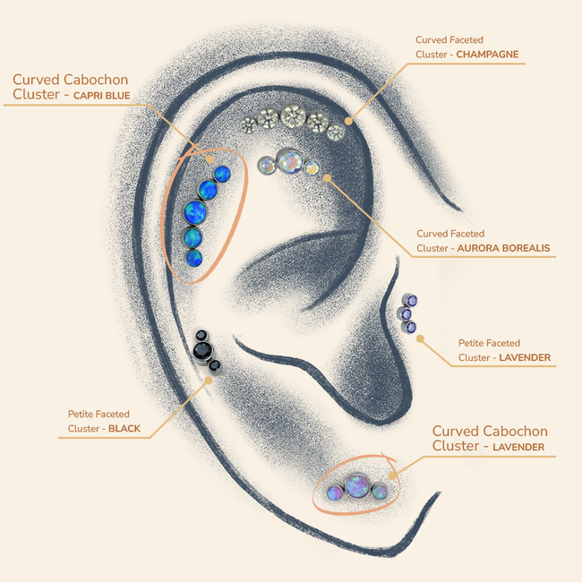 Drawn ear with different cluster types to showcase how they fit. This ear features the curved clusters with cabochons..