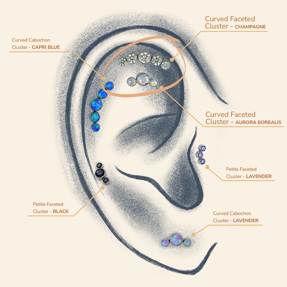 Drawn ear with different cluster types to showcase how they fit. This ear features the curved clusters with faceted gems.